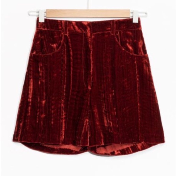Rodarte & Other Stories Velvet Shorts - Picture 8 of 9
